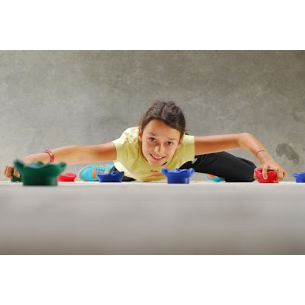 Hudora 12 Stück Klettergriffe (40cm × 15.5cm × 11cm)