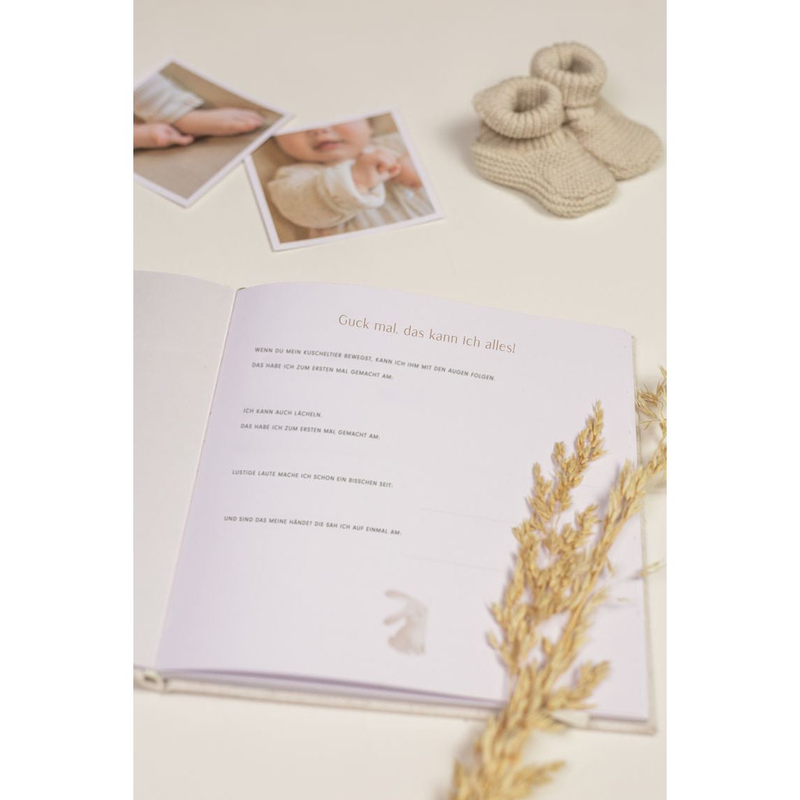 Little Dutch Baby erstes Jahr Buch Baby Bunny FSC