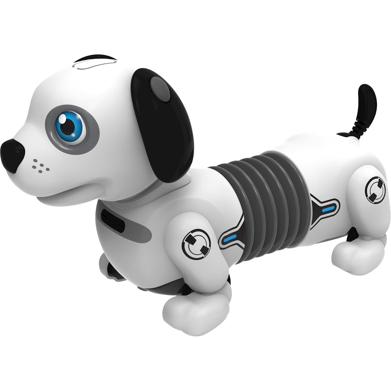 Robo Dackel Junior