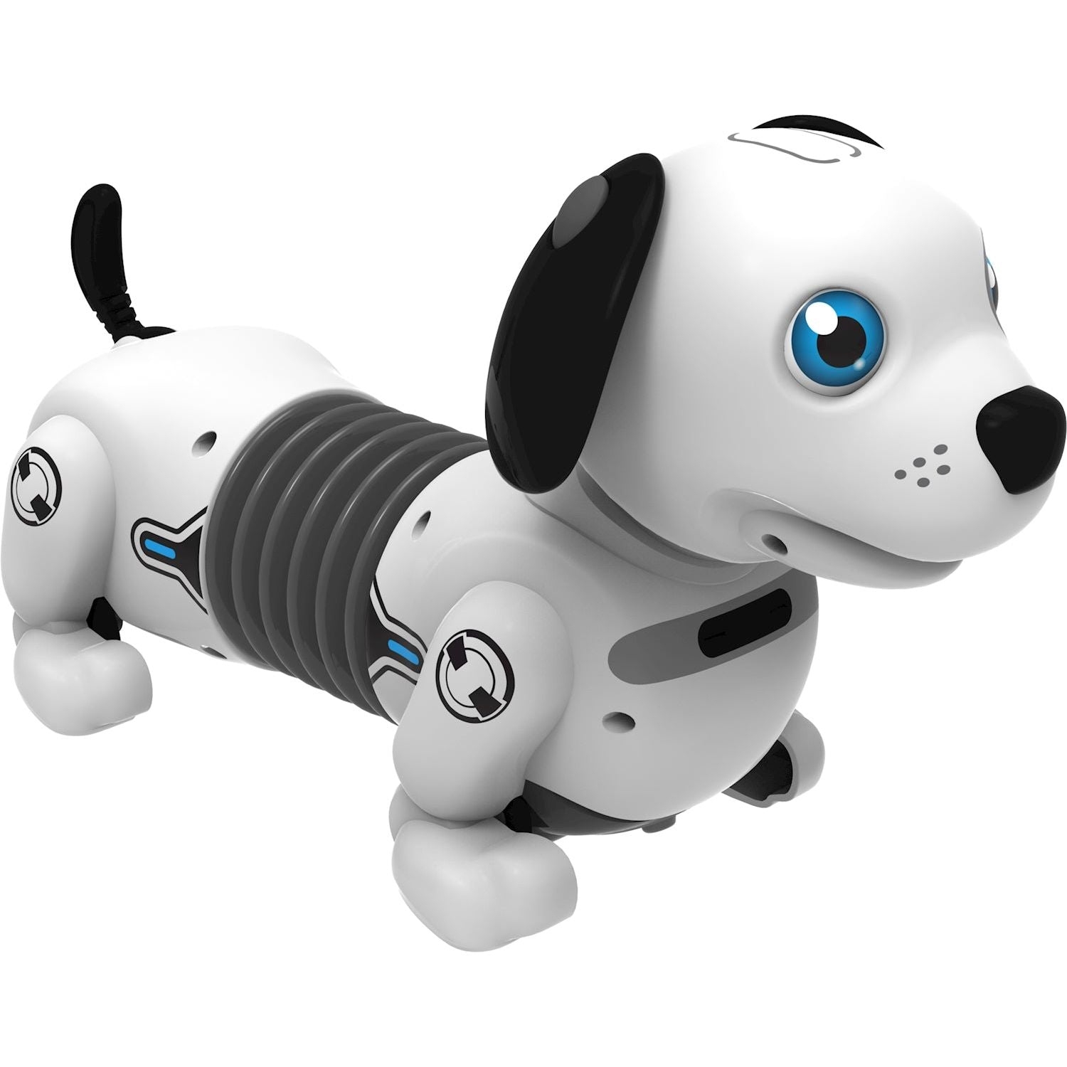 Robo Dackel Junior