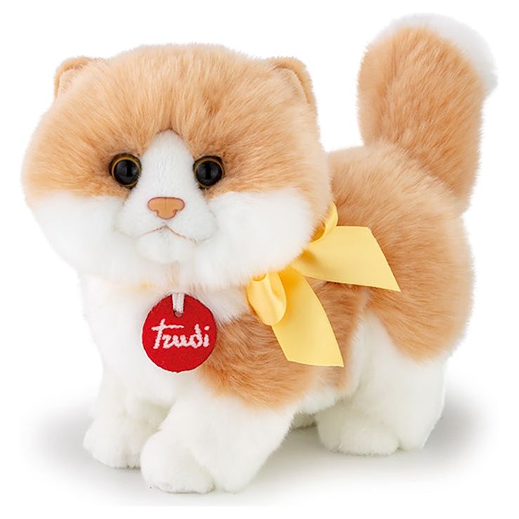 Katze Charlie