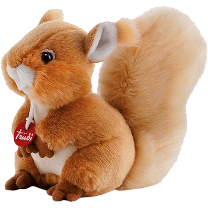 Eichhörnchen Trudino