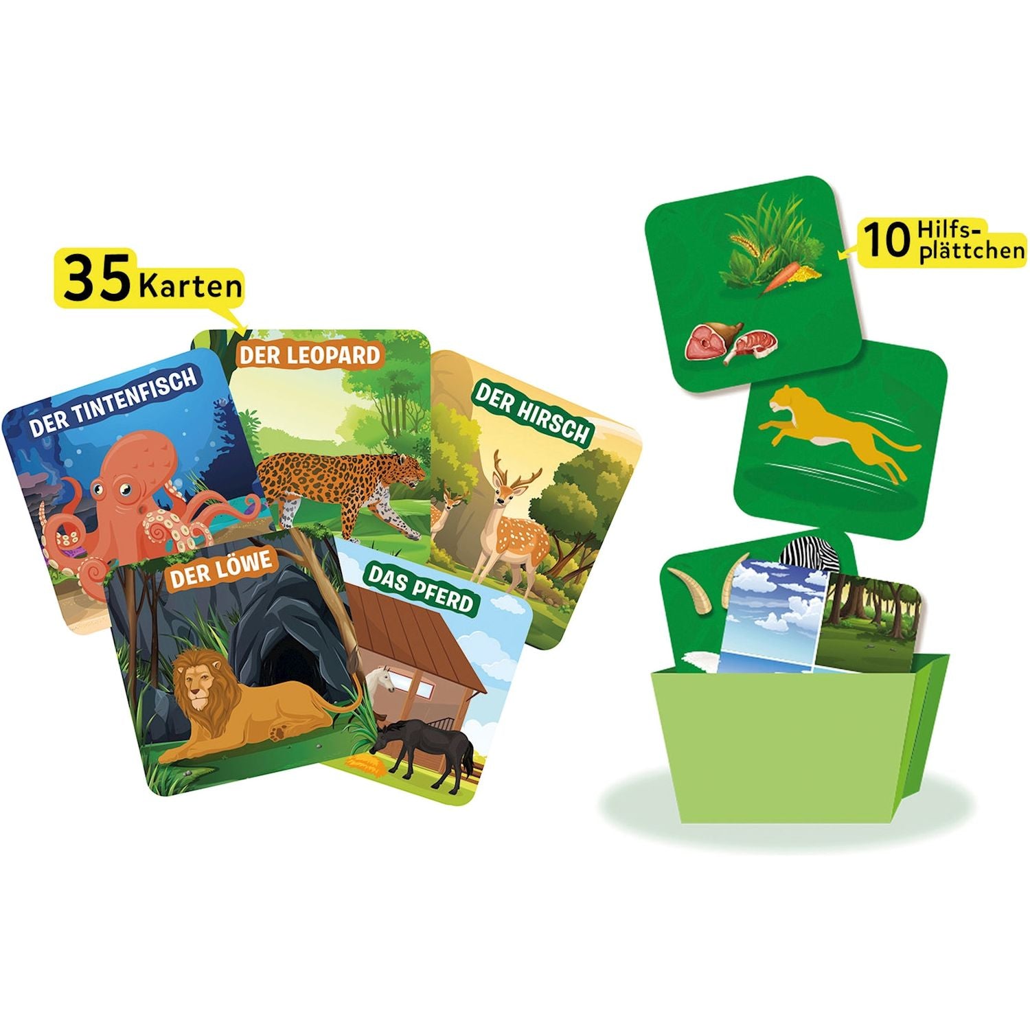 10 Mal raten Junior Tiere
