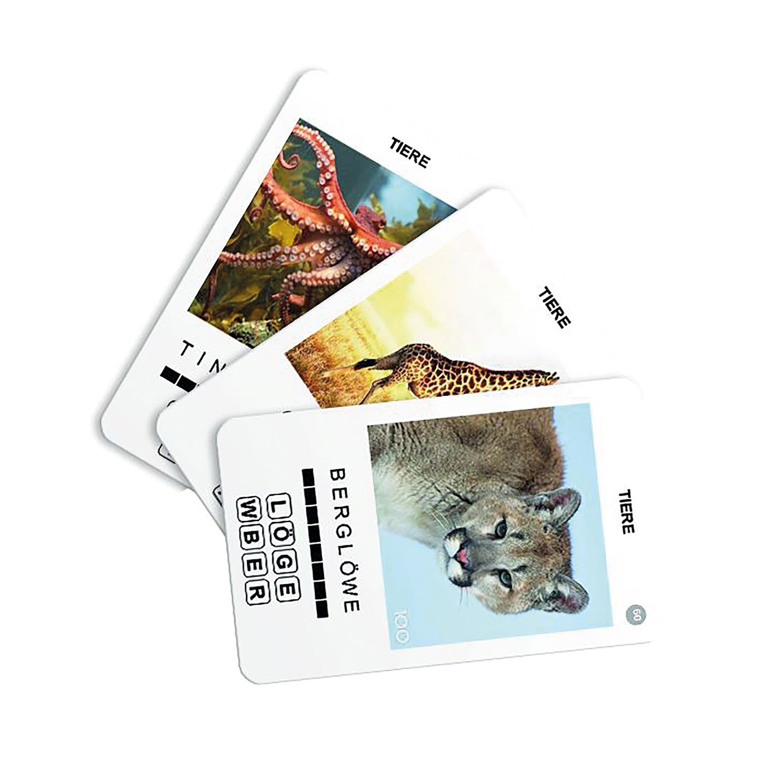 100 PICS Tiere