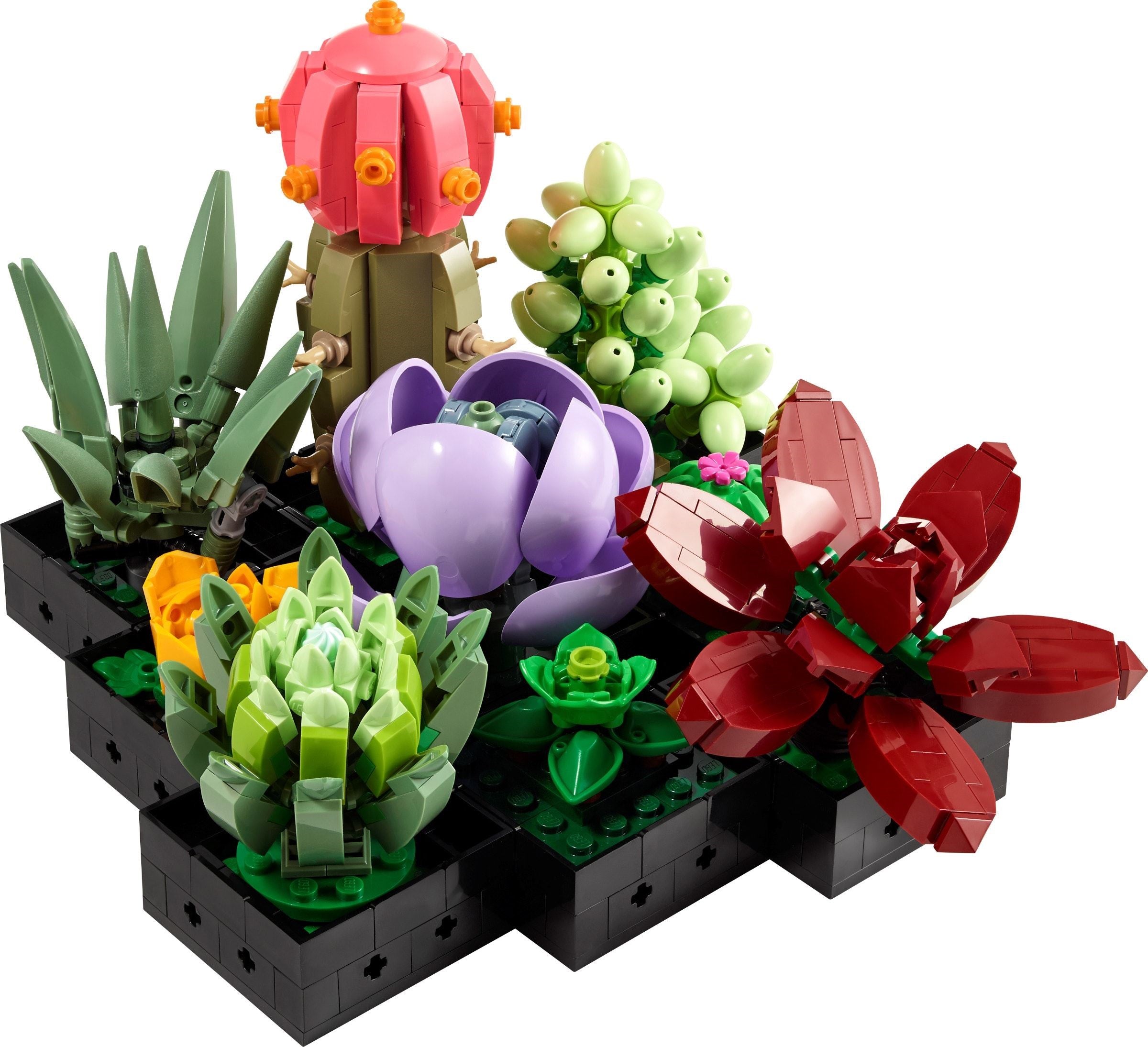 LEGO Icons Sukkulenten 10309