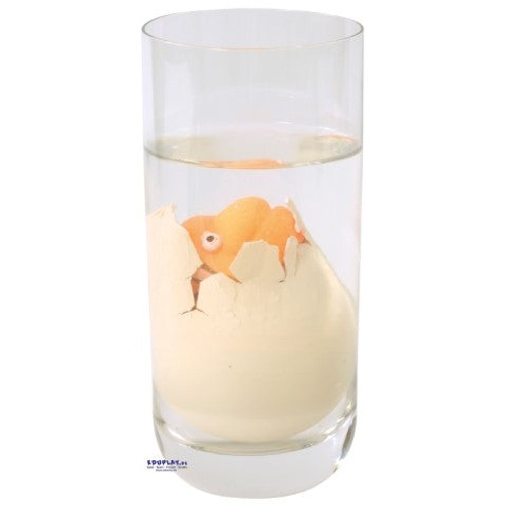 Wachsende Eier