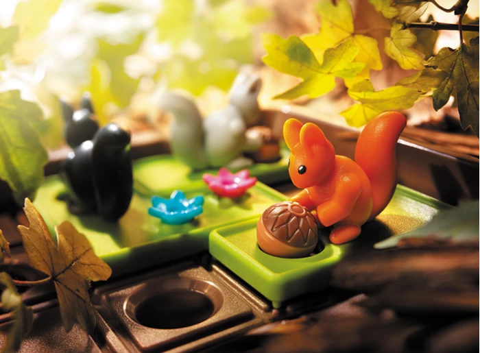 Smart Games Squirrels Go Nuts