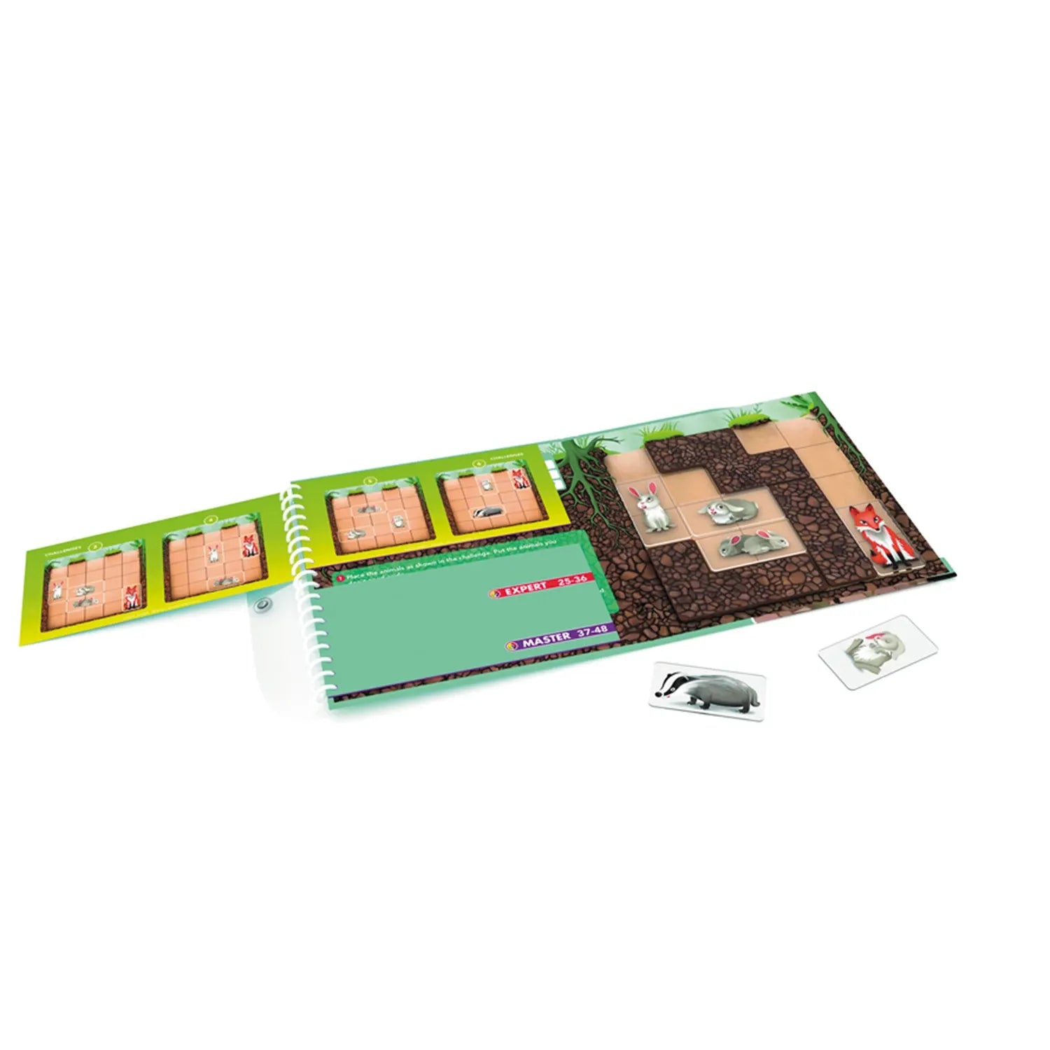 Smart Games Down The Rabbit Hole (mult)