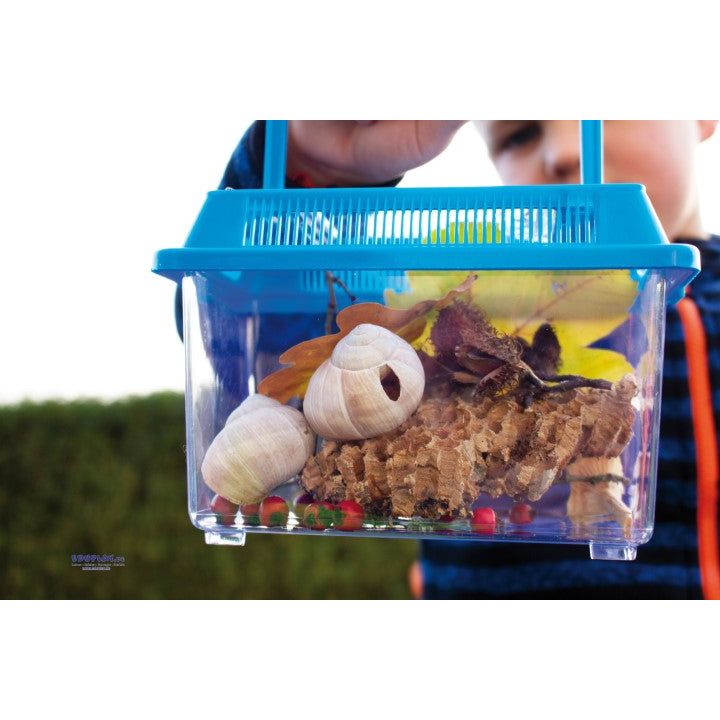 Insektenboxen 2er Set