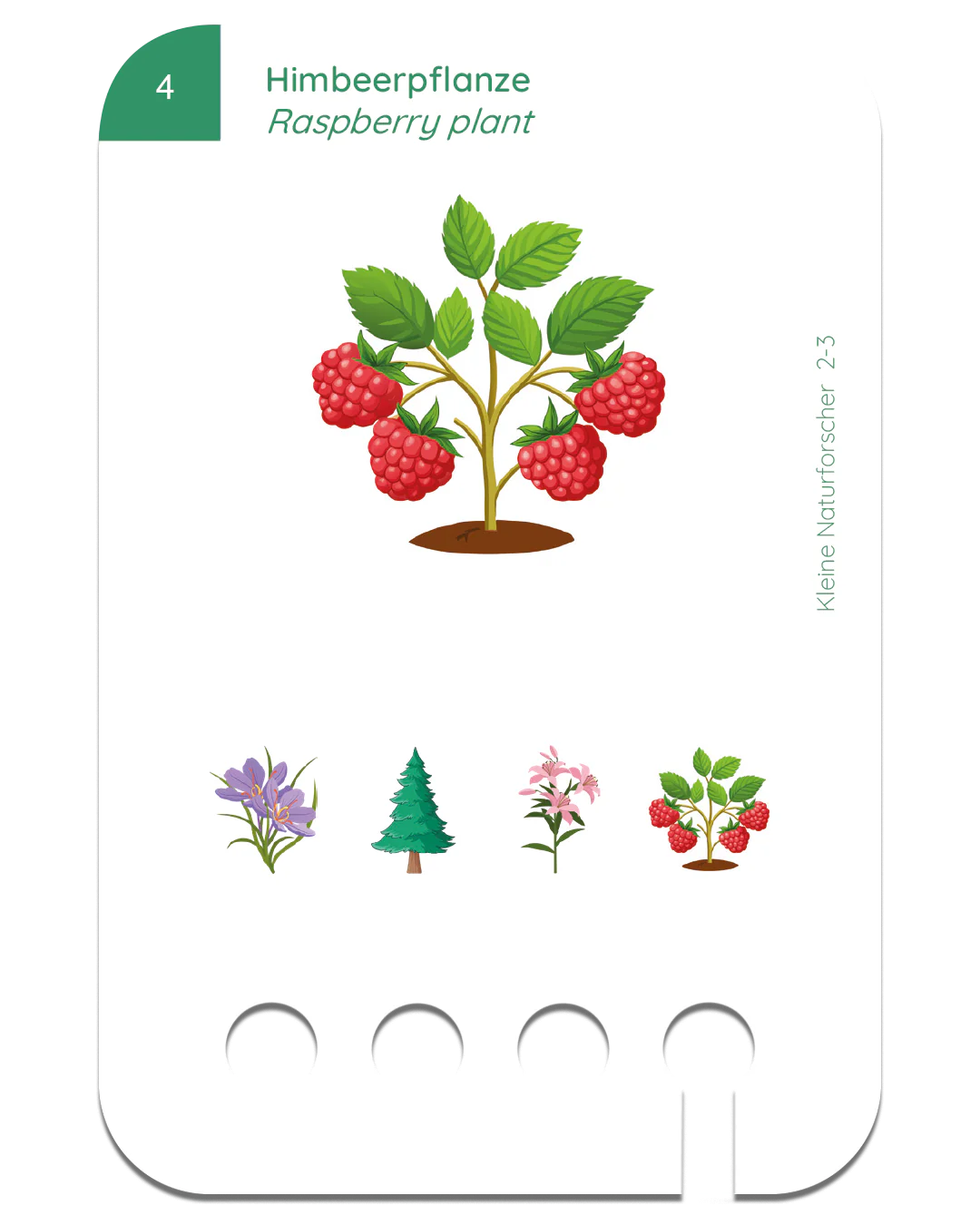 Kölner Lernspielverlag Kleine Naturforscher 2-3