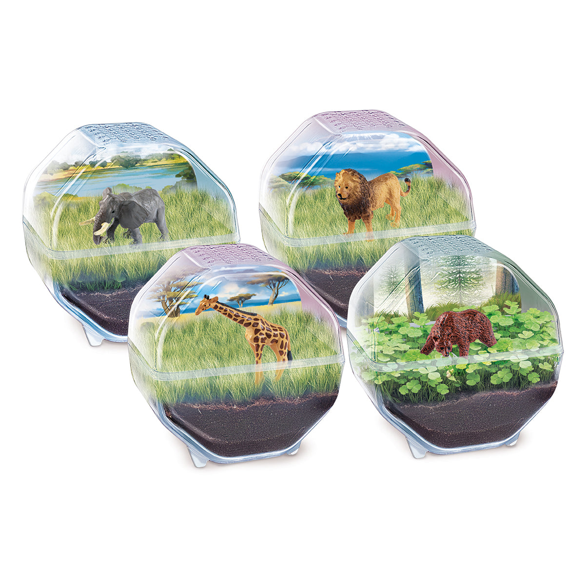 Clementoni Mini Terrarium assortiert DE Deutsch