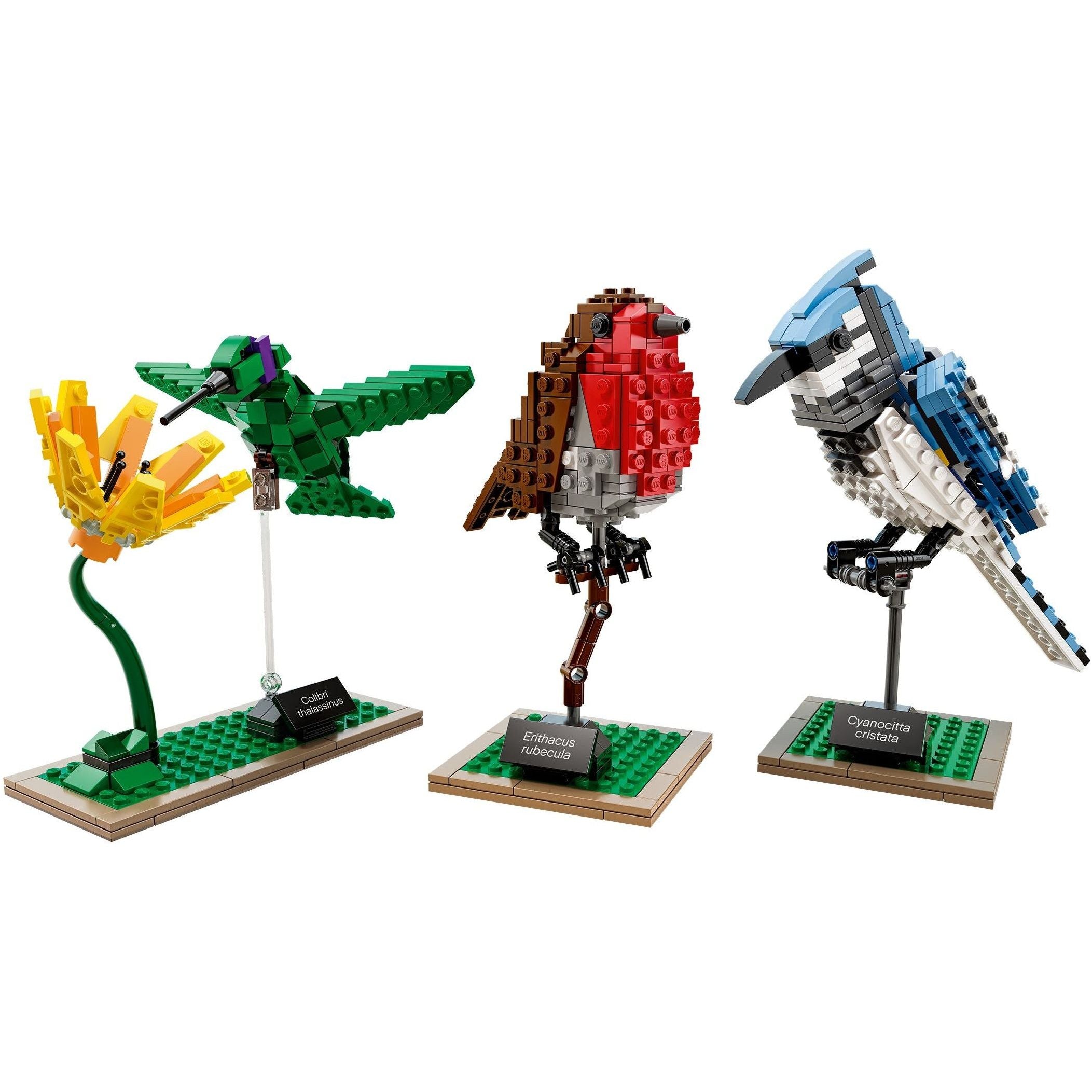 LEGO Ideas Birds 21301