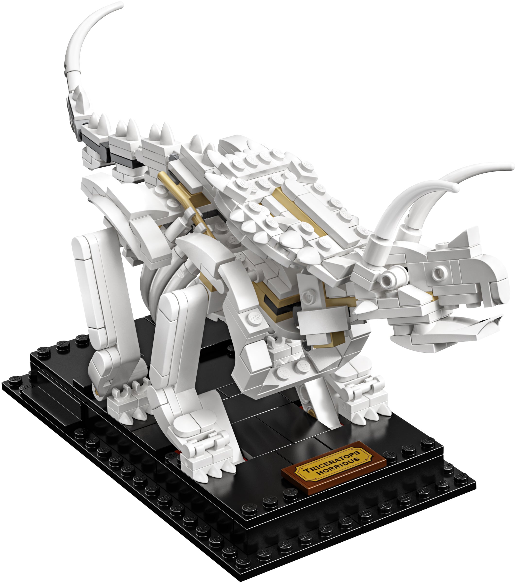 LEGO Ideas Dinosaurier-Fossilien 21320