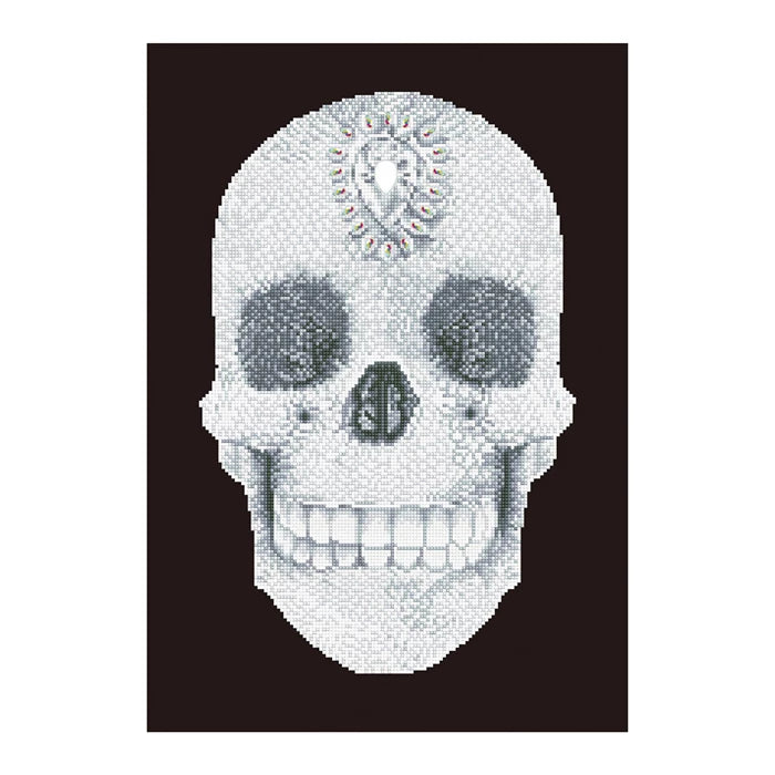 Diamond Dotz Diamond Painting Kristallschädel