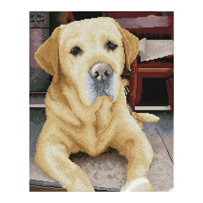 Diamond Dotz Diamond Painting Labrador