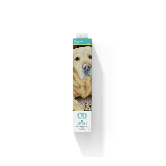 Diamond Dotz Diamond Painting Labrador