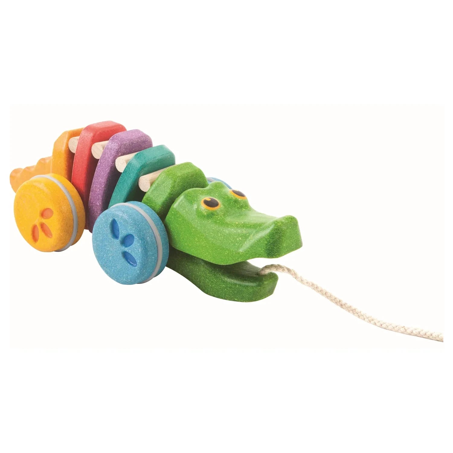 Alligator Regenbogen