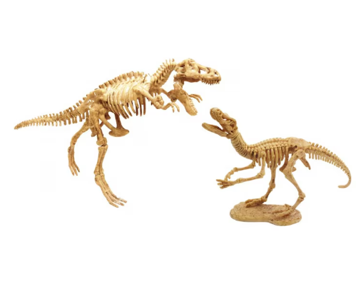 BUKI DINO DIG - 2 MODELLE