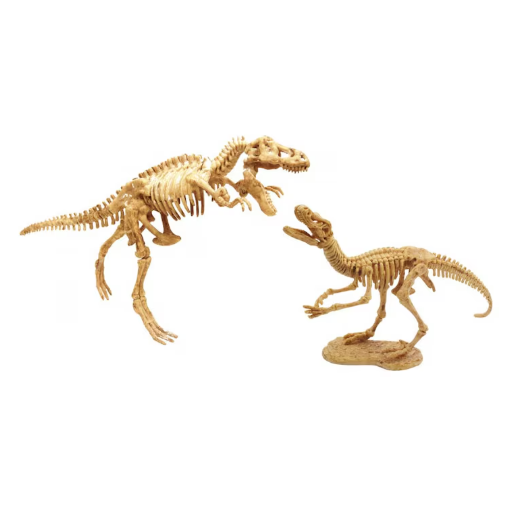 BUKI DINO DIG - 2 MODELLE
