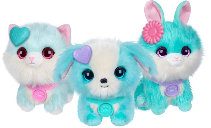Scruff-A-Luvs Pet blau Little Live Pets, Überraschungs-Tier, Box, Zubehör, ab 2 Jahren