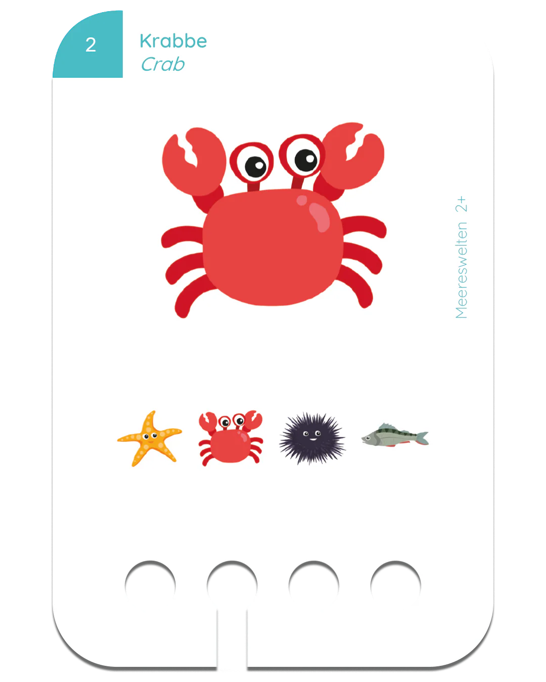 Kölner Lernspielverlag Neu: Erste Übungen - Wasserwelten 2+
