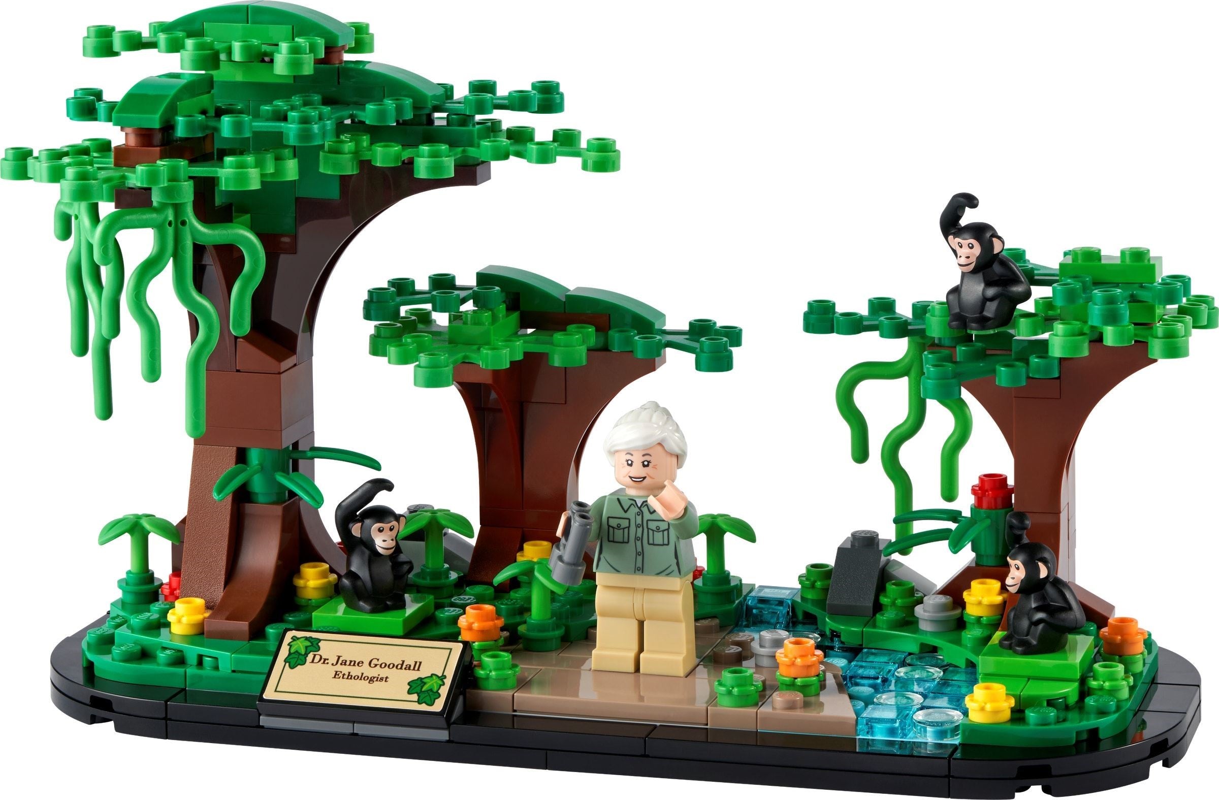 <transcy>LEGO Hommage à Jane Goodall 40530</transcy>