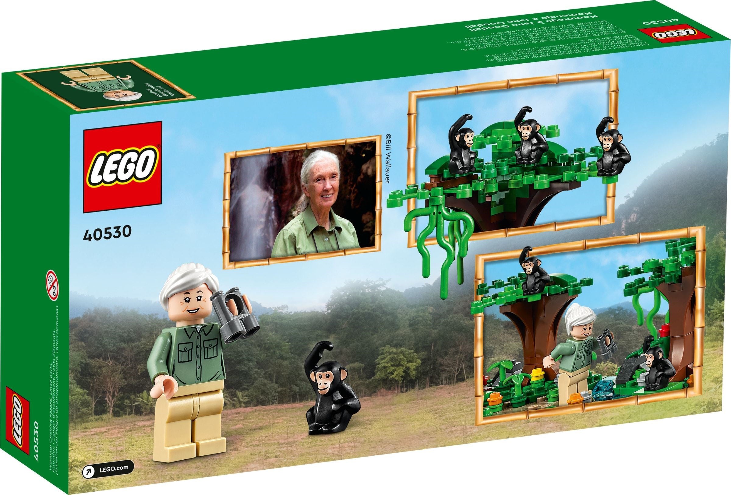 <transcy>LEGO Hommage à Jane Goodall 40530</transcy>