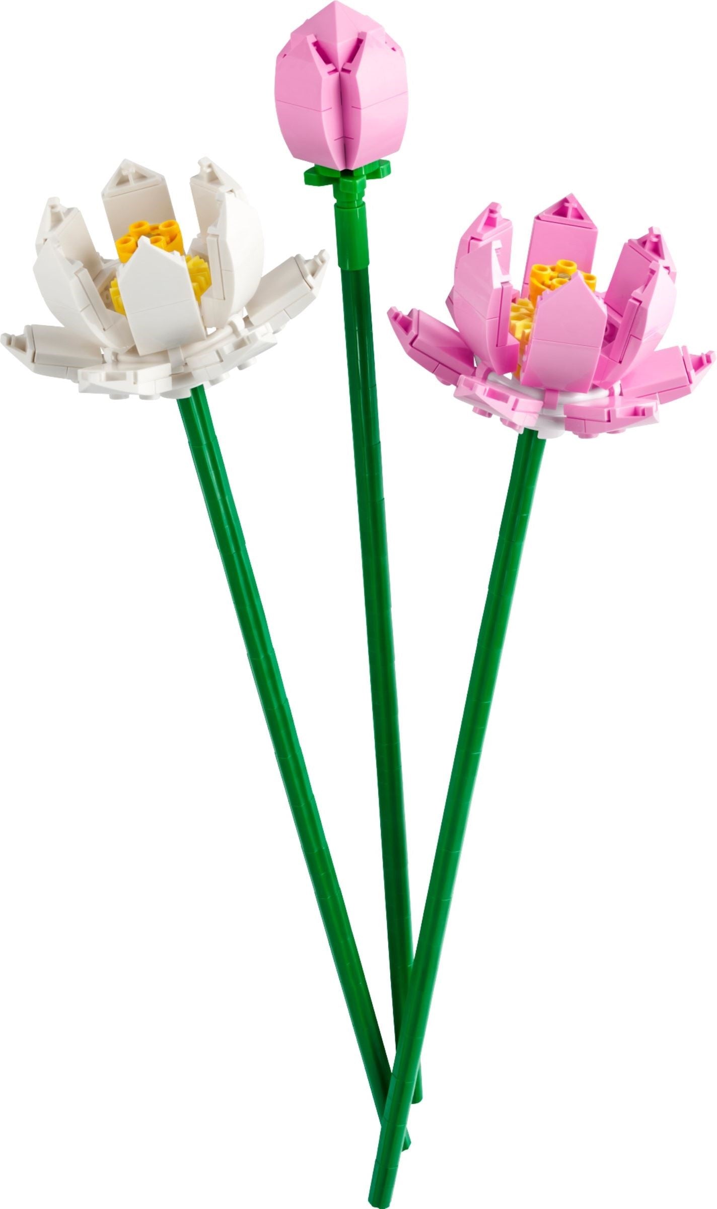 LEGO Creator Lotusblume 40647