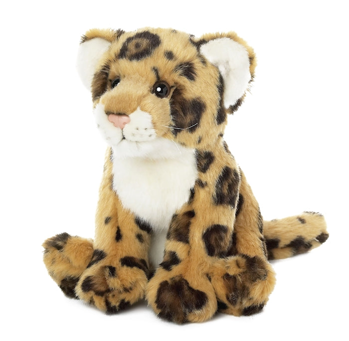 WWF Jaguar Floppy