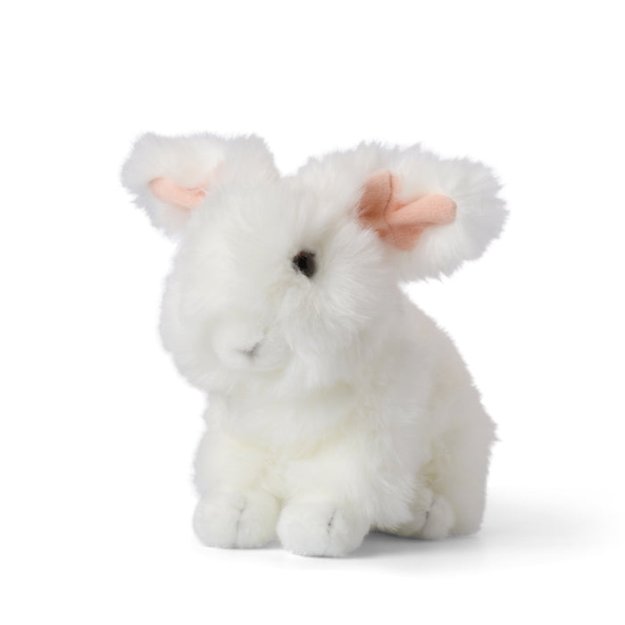 WWF Angora Hase sitzend