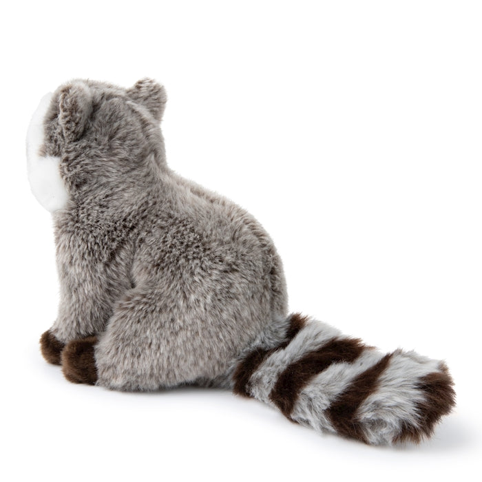 WWF Waschbär