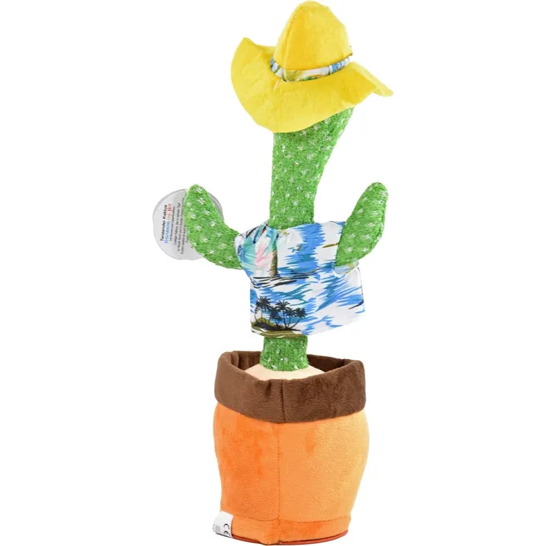 Kaktus Hawaii 32 cm