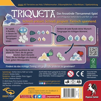 Pegasus Spiele Triqueta
