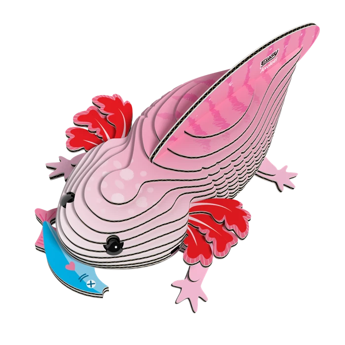 3D Bastelset Axolotl
