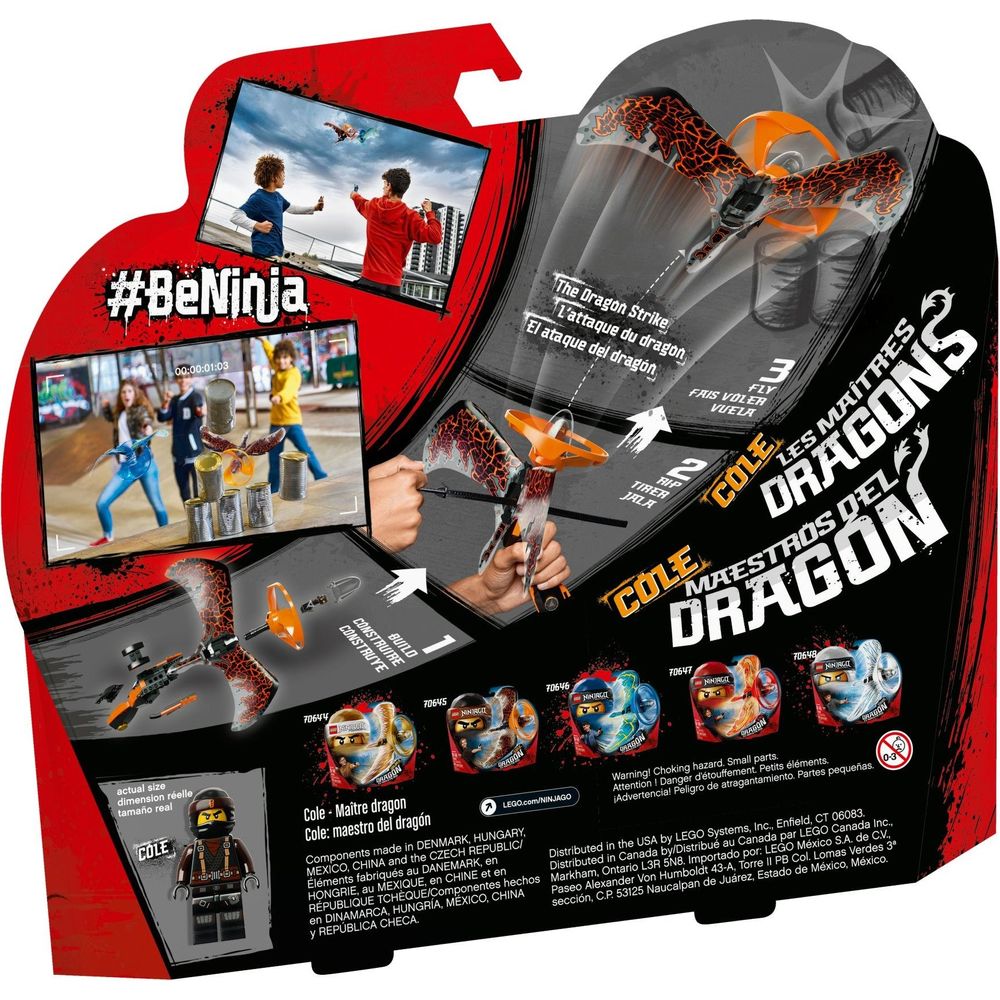 LEGO Ninjago Drachenmeister Cole 70645