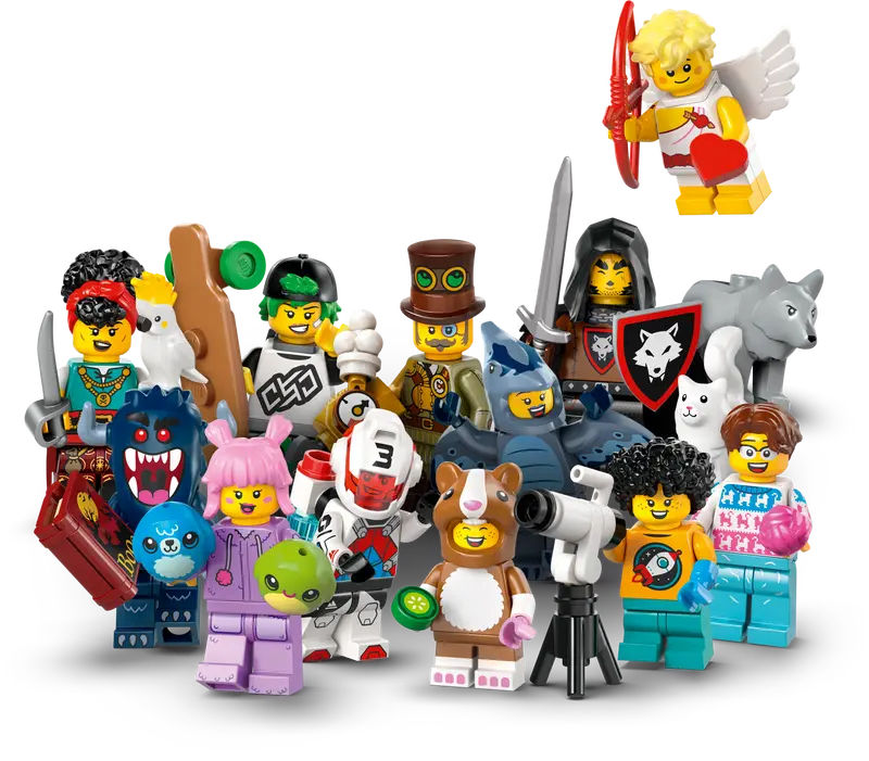LEGO Minifigures LEGO Minifiguren Serie 27 71048