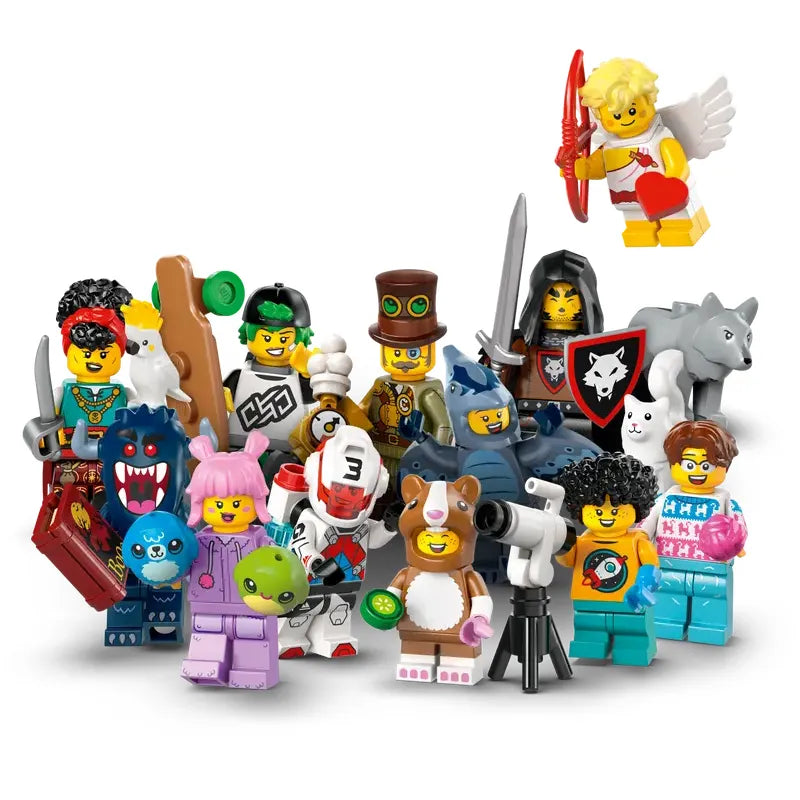 LEGO Minifigures LEGO Minifiguren Serie 27 71048