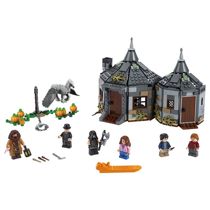 LEGO Harry Potter Hagrids Hütte: Seidenschnabels Rettung 75947