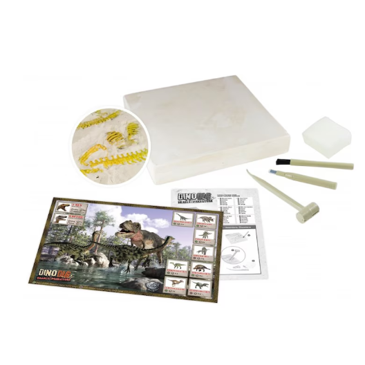 BUKI DINO DIG - 2 MODELLE
