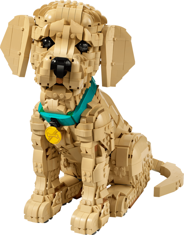 LEGO® Icons Golden Retriever Welpe 11384