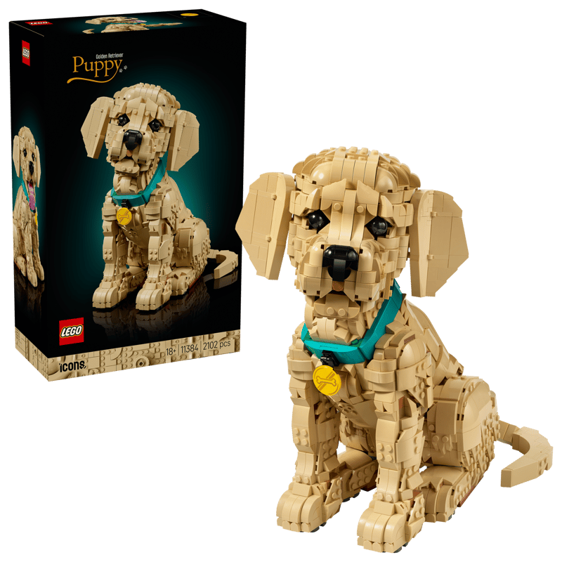 LEGO® Icons Golden Retriever Welpe 11384