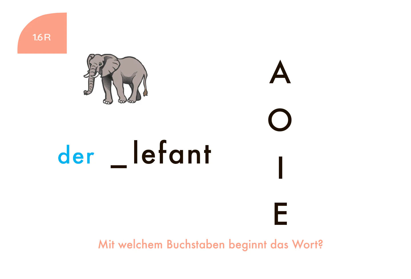 Kölner Lernspielverlag Finde den Anfangs- & Endbuchstaben 1. Klasse