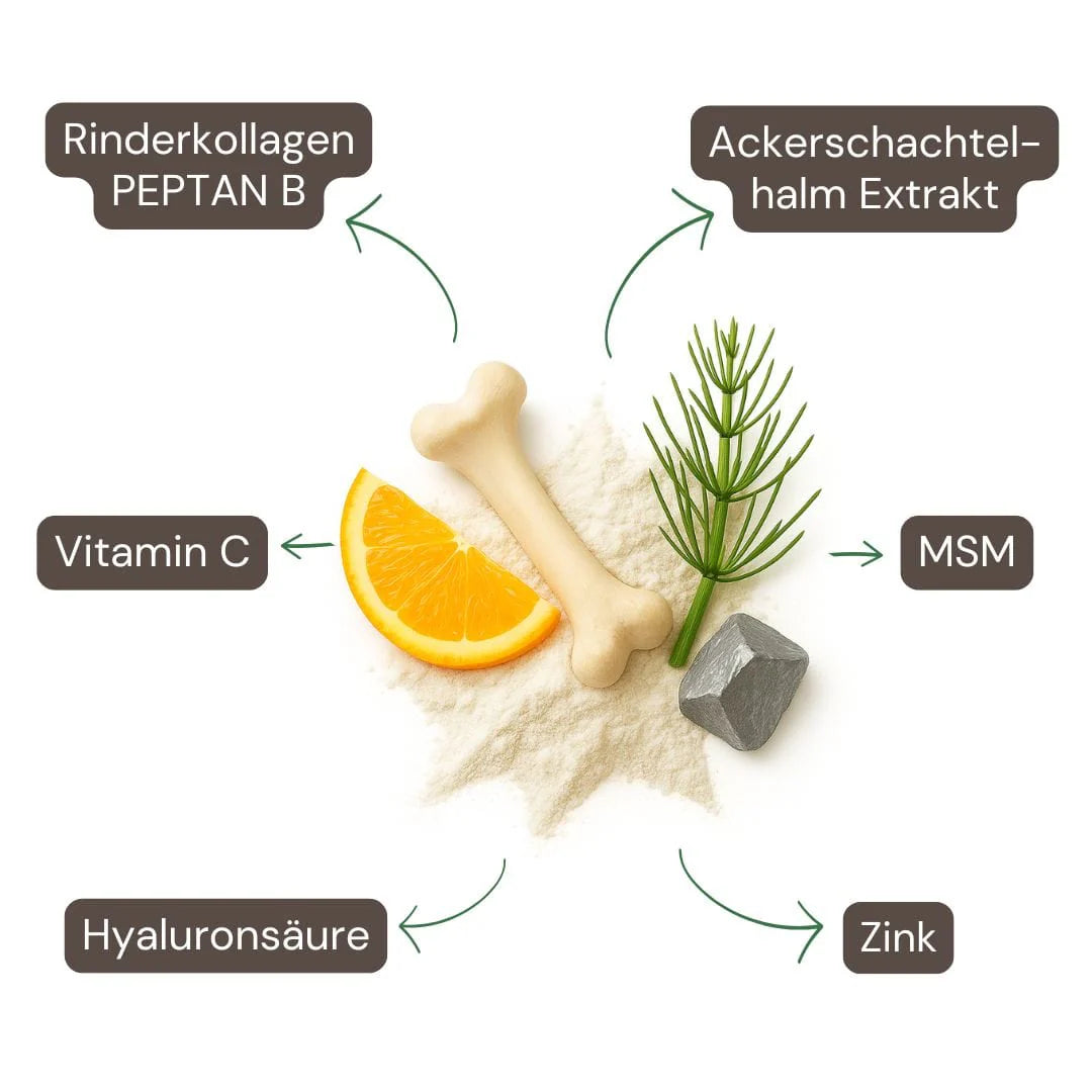 Naturaleza Kollagen & Hyaluron Plus Kapseln