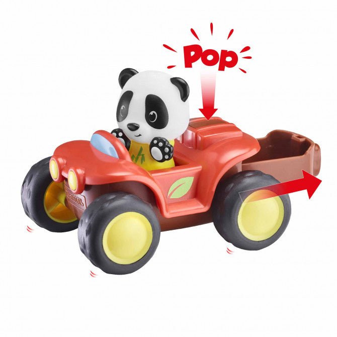 Klorofil Der Quad