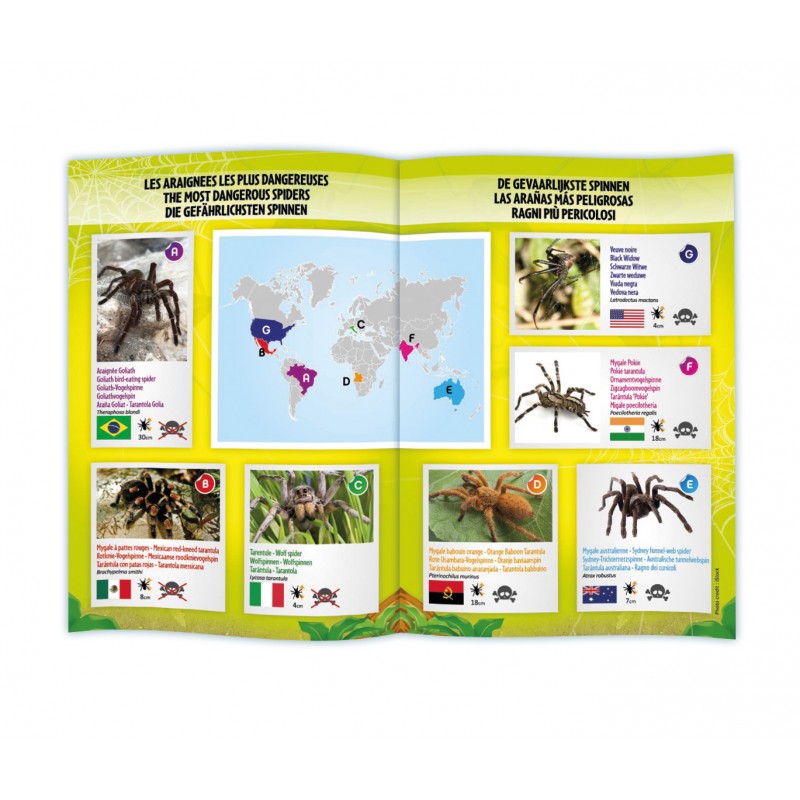 BUKI VOGELSPINNE F/S