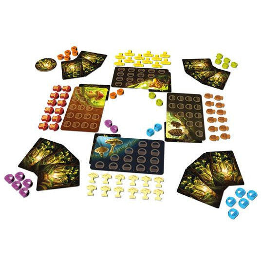 Trésors de la forêt