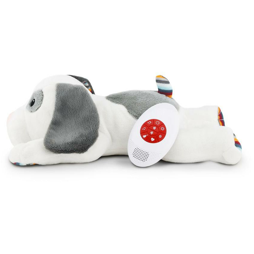 ZaZu somnifère chien Dex 15 cm