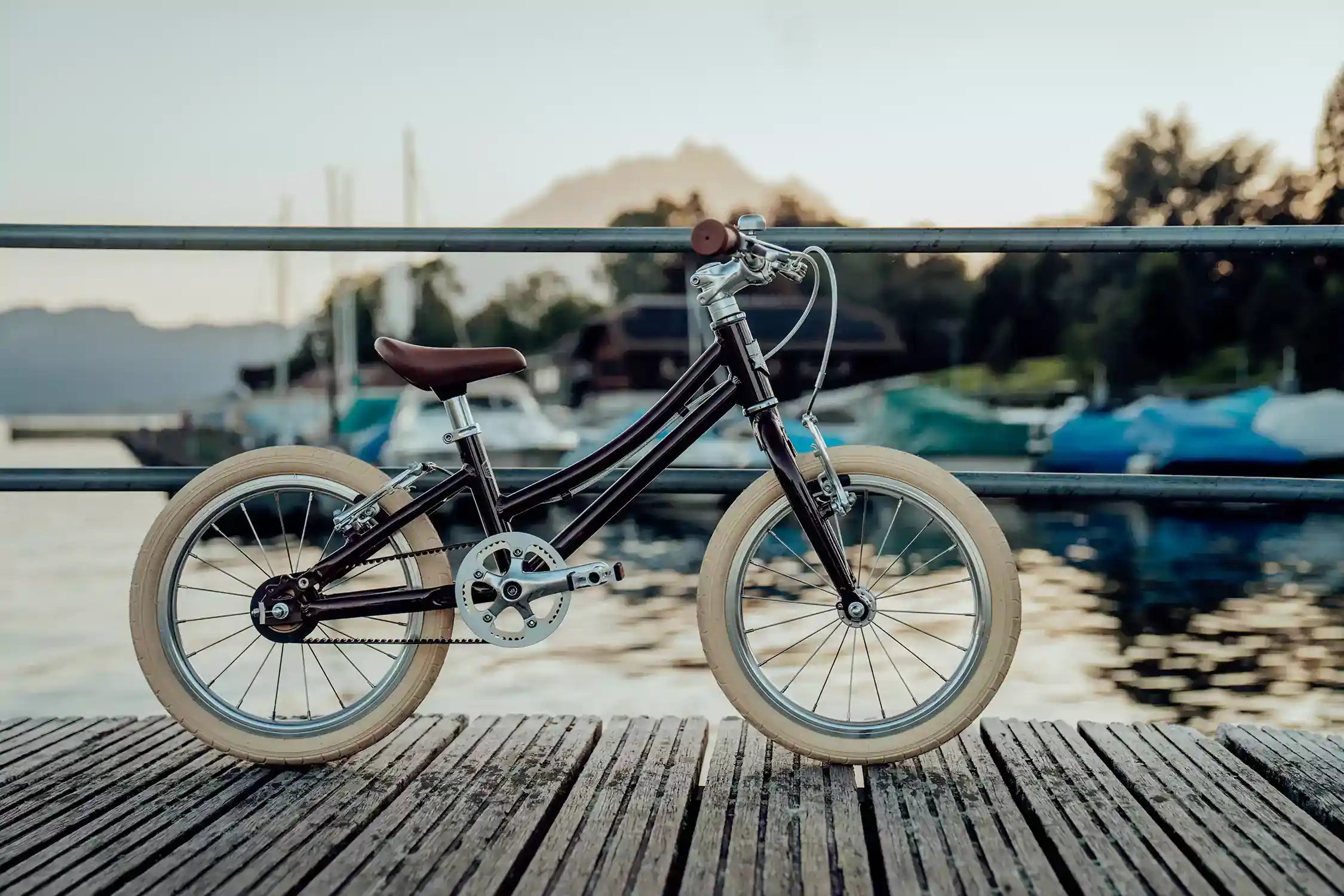 Siech Cycles