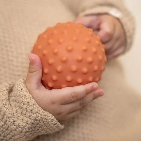 Little Dutch Farm Sensory Balls set/3