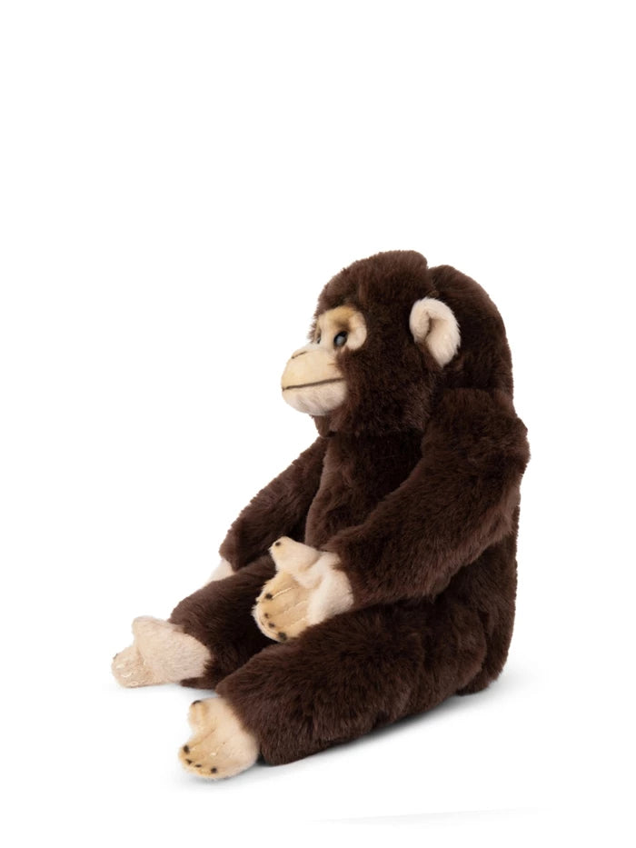 WWF Eco Schimpanse